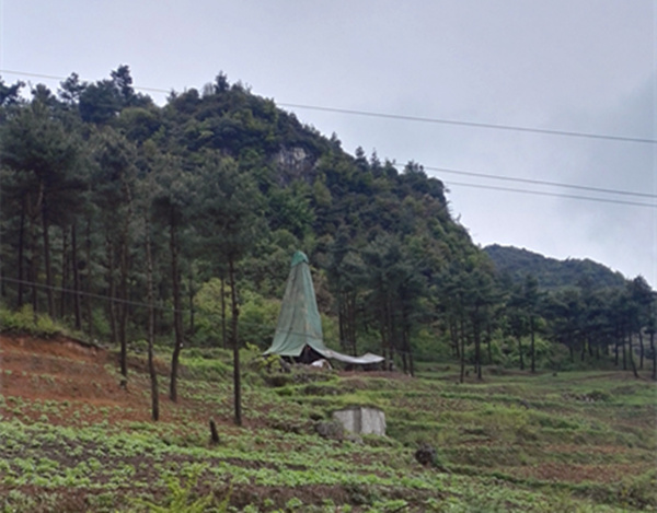 把脈“黔”鋅地，問診開良方